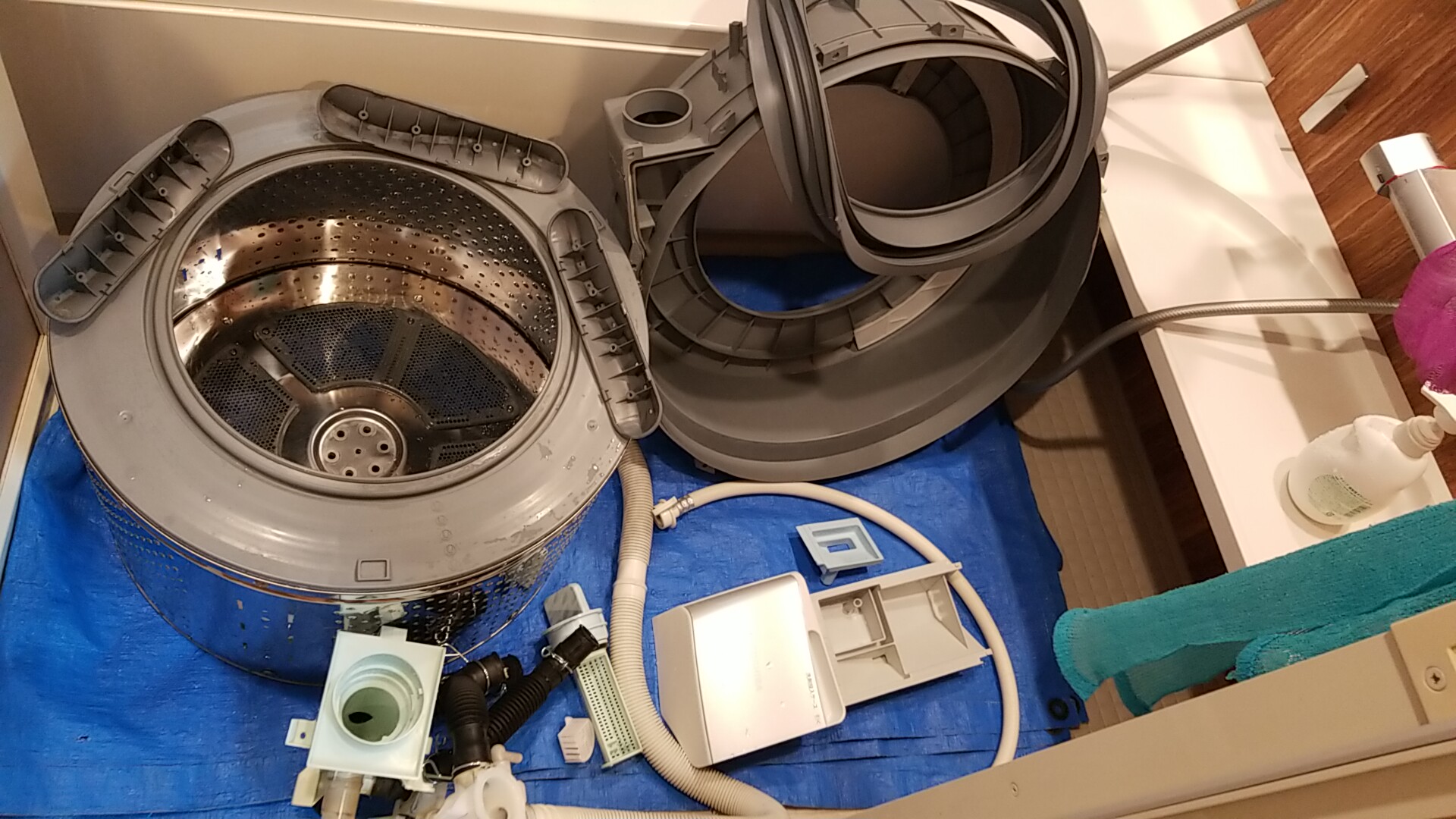 弥富市東芝ドラム洗濯機分解洗浄及び排水経路清掃